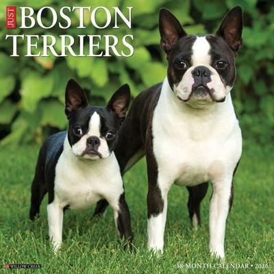 Boston Terriers 2026 Wall Calendar