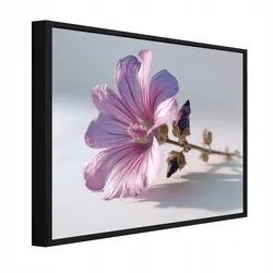 BILDER mit Rahmen Blumen Natur Rosa 100x70 cm