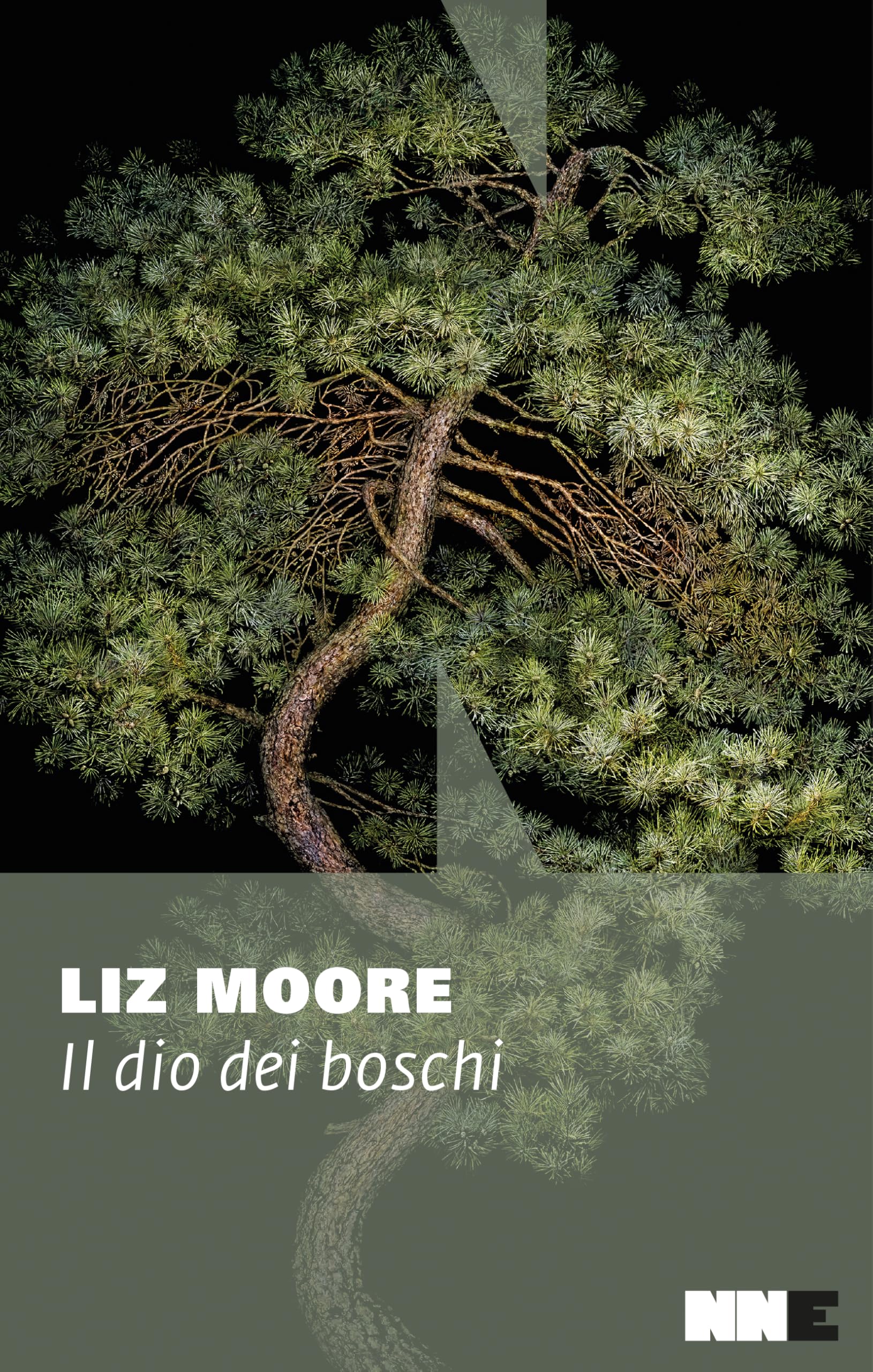 Liz Moore - Il dio dei boschi (La stagione) - Preis vom 12.10.2026 11:37:12 h