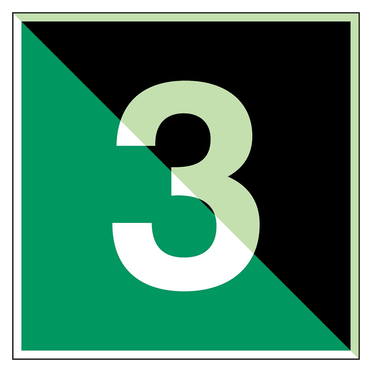 Brady Glow-in-the-dark safety sign (E/Y003-PP-PHOLUMB-100X300/1-B)