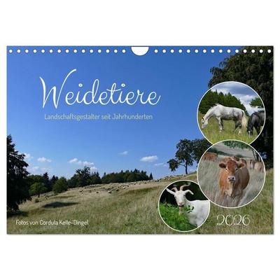 Weidetiere - Landschaftsgestalter seit Jahrhunderten (Wandkalender 2026 DIN A4 quer), CALVENDO Monatskalender