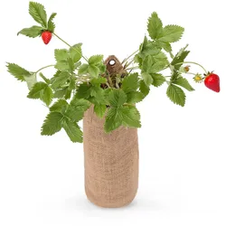 Tchibo - Hängender Erdbeer-Garten - mehrfarbig