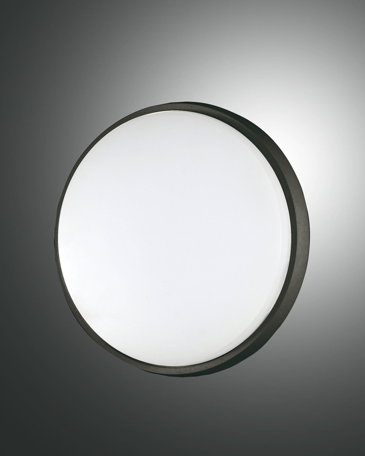 Fabas Luce LED-Wand-/Deckenleuchte OLLY 24cm schwarz 3315-61-101 8019282094470