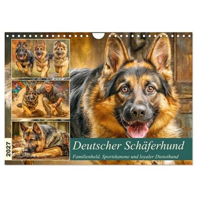 Deutscher Schäferhund. Familienheld, Sportskanone und loyaler Diensthund (Wandkalender 2027 DIN A4 quer), CALVENDO Monatskalender