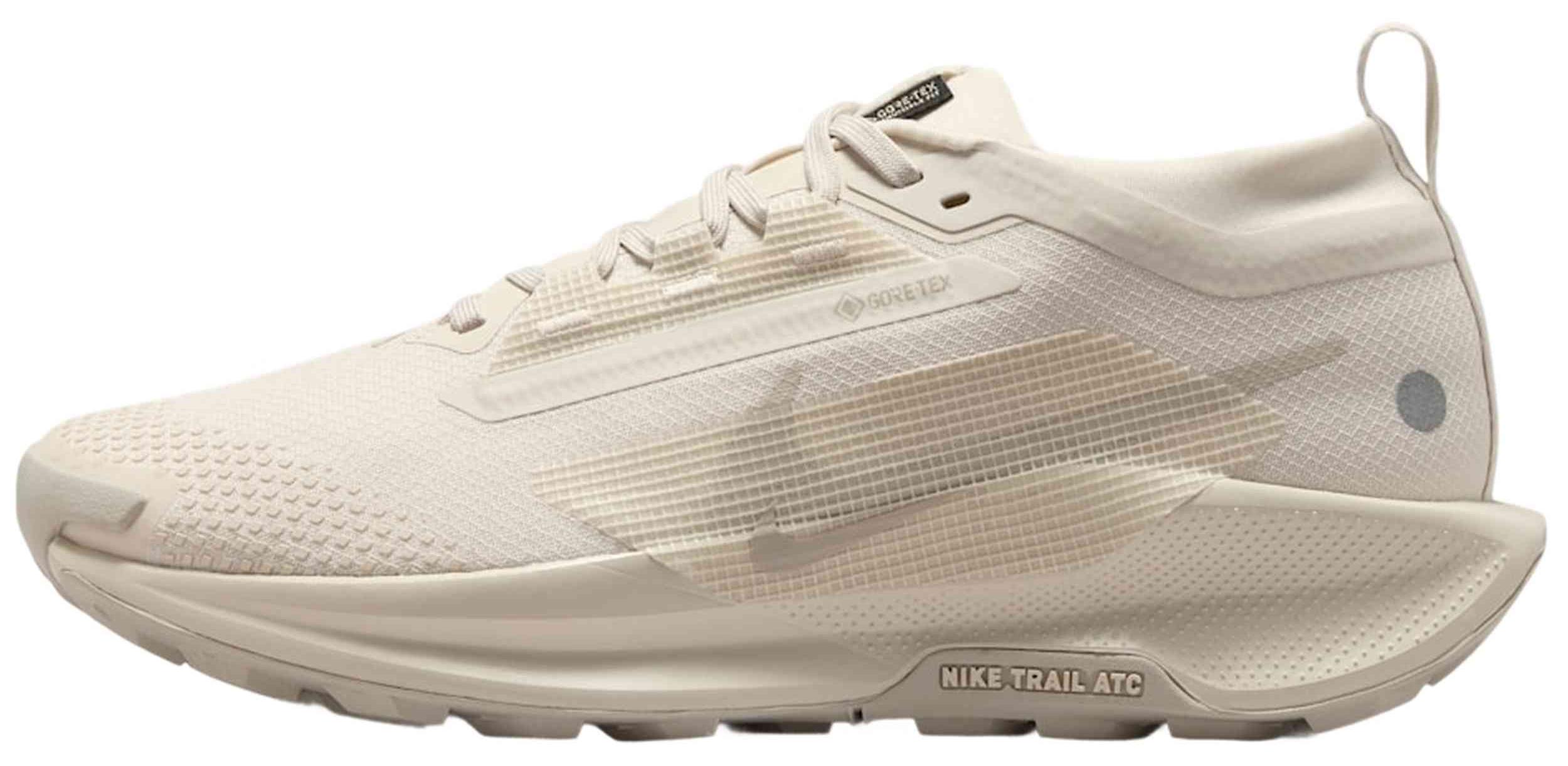 Laufschuhe Nike Pegasus Trail 5 GORE-TEX für Damen