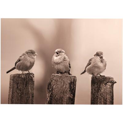 Leinwandbild ART FOR THE HOME "Outdoor Vogel 50x70cm", braun (farbe bild(er): braun), B:70cm H:40cm T:2,3cm Ø:2,3cm, Bilder, Leinwandbild, Leinwand für draußen- Early Birds - Sepia - 50x70cm