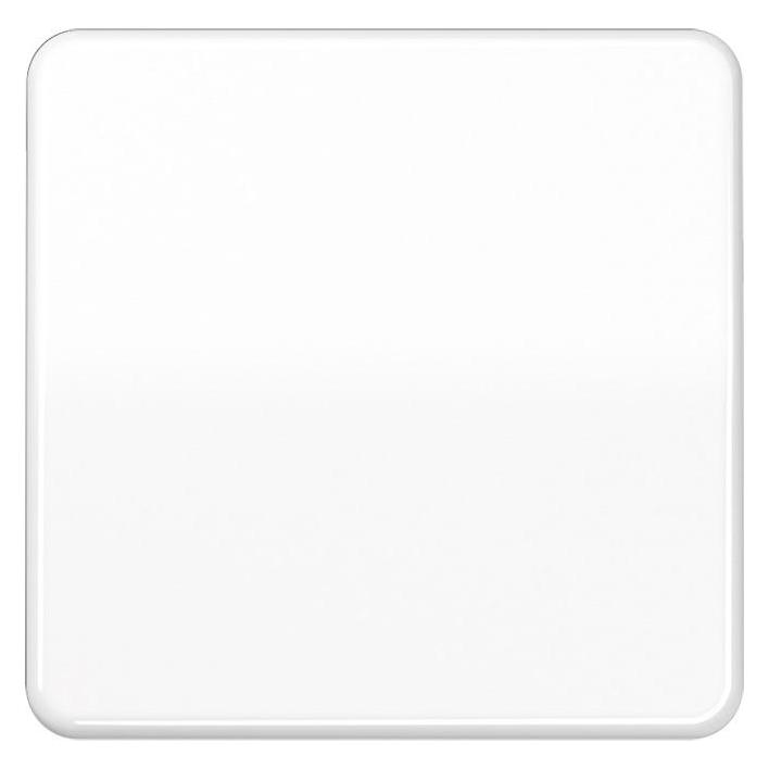 JUNG Wippe Schalter CD aws glz CD590BFWW (CD590BFWW)