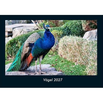 Vögel 2027 Fotokalender DIN A4