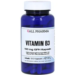 Vitamin B3 100 mg GPH Kapseln 120 St