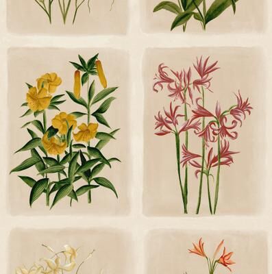 Laura Ashley Pershore Postcards Line Wallpaper