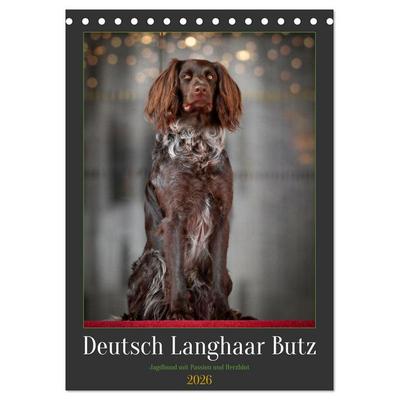 Deutsch Langhaar Butz - Jagdhund mit Passion und Herzblut (Tischkalender 2026 DIN A5 hoch), CALVENDO Monatskalender