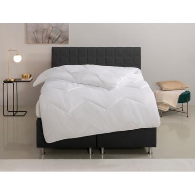 Microfaserbettdecke OTTO HOME "Sartes, Bettdecke 135x200 cm, 155x220 cm", weiß, B:155cm L:220cm, Bezug: 100% Polyester. Füllung: 100% Polyester, Bettdecken, Microfaserbettdecke, Bettdecken, Sommer, Decke, für Allergiker geeignet