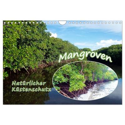Mangroven - Natürlicher Küstenschutz (Wandkalender 2027 DIN A4 quer), CALVENDO Monatskalender