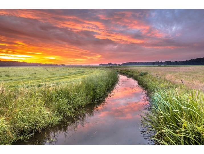 Fototapete PAPERMOON Fluss in Feld , bunt, B:5m L:2,8m, Vlies, Tapeten, Fototapete