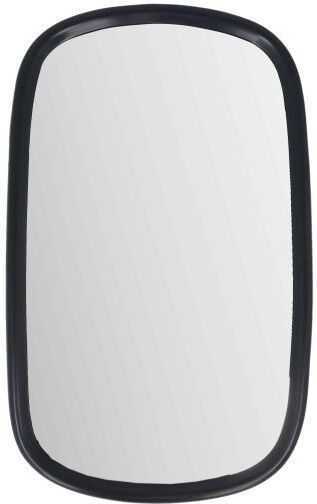 RYWAL LP0263 Wing mirror, driver cabin