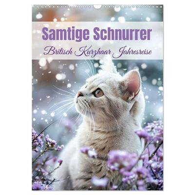 Samtige Schnurrer (Wandkalender 2026 DIN A3 hoch), CALVENDO Monatskalender