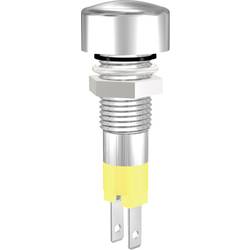 Signal Construct SMLD 08114 LED-Signalleuchte Gelb 24 V/DC 180 mcd