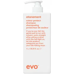 1L Evo Atonement Colour Protect Shampoo
