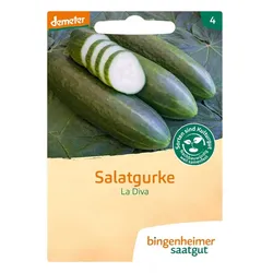 Salatgurke - La Diva