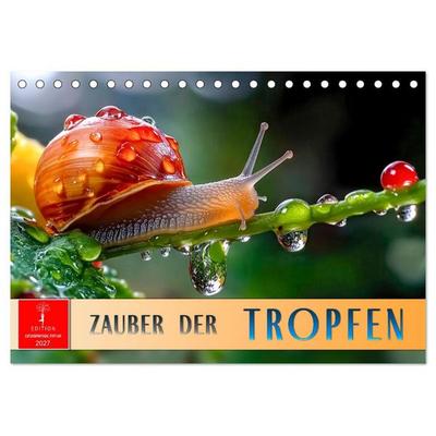 Zauber der Tropfen (Tischkalender 2027 DIN A5 quer), CALVENDO Monatskalender