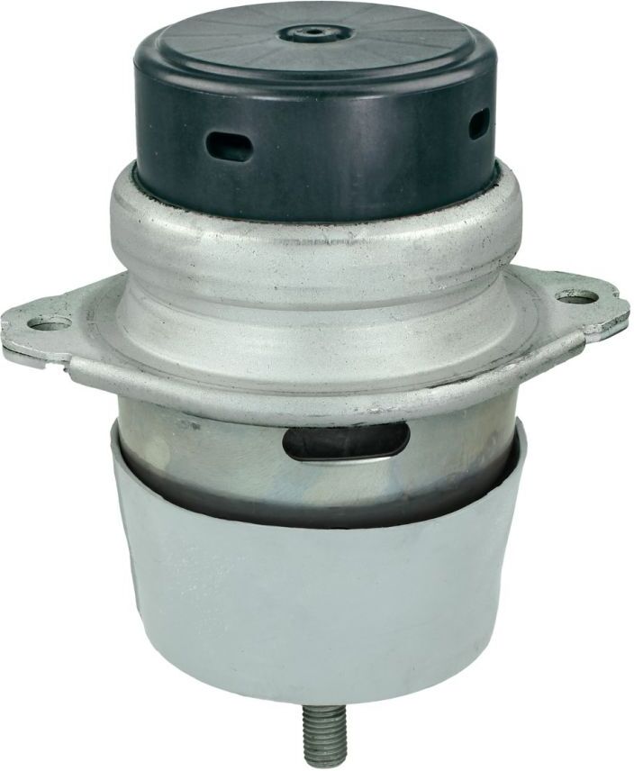 Lagerung, Motor MEYLE 100 199 0215