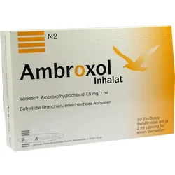 Ambroxol Inhalat 100 ML