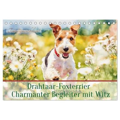Drahthaar-Foxterrier charmanter Begleiter mit Witz (Tischkalender 2027 DIN A5 quer), CALVENDO Monatskalender