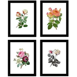 POSTER Set mit 4 Botanische Weiß Hintergrund Rosen A3 Rahmenlos