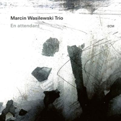 En attendant - Marcin Wasilewski Trio, Vinyl
