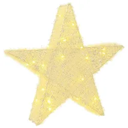 vidaXL 3D-Weihnachtsstern 50 LEDs Warmes Weiß 55 x 53,5 x 10 cm 42049712