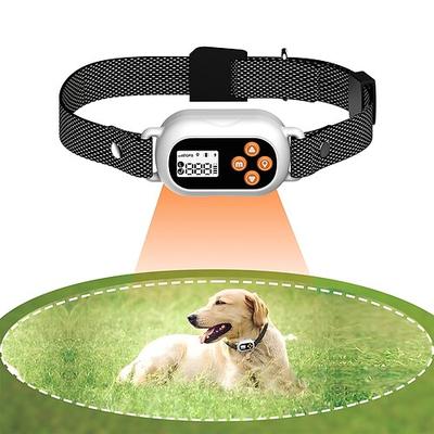 Hund Drahtloser Zaun Tragbar Leicht Langlebig Kunststoff Schwarz 1 Stück