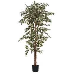 Mica Decorations Ficus - Kunstpflanze - Bunt - H 180 cm