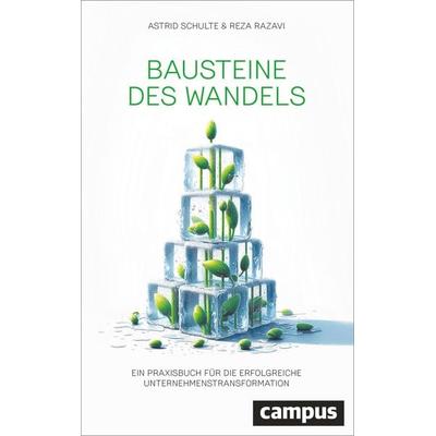 Bausteine des Wandels, Gebundene Ausgabe von Astrid Schulte,Reza Razavi, Campus, 978-3-593-51989-0