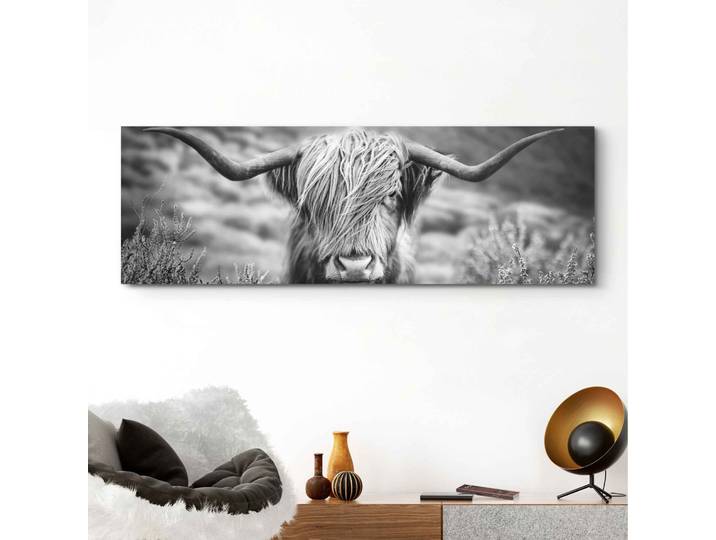 Wandbild REINDERS Wandbild Highlander Bulle Tiermotiv - Nahaufnahme - Hochlandrind Bild , schwarz (farbe bild(er): schwarz, weiß), B:156cm H:52cm, MDF, Bilder, Wandbild