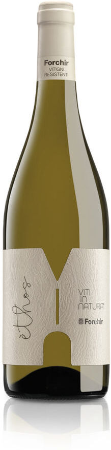 ethos Bianco 2020 Forchir