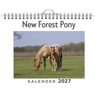 New Forest Pony