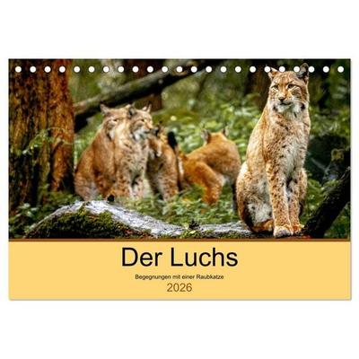 Der Luchs - Begegnungen mit einer Raubkatze (Tischkalender 2026 DIN A5 quer), CALVENDO Monatskalender