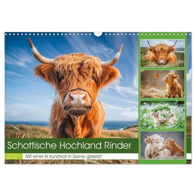 Schottische Hochland Rinder (Wandkalender 2027 DIN A3 quer), CALVENDO Monatskalender