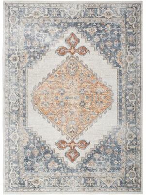 Nourison Astra Machine Washable Distressed Vintage Area Rug