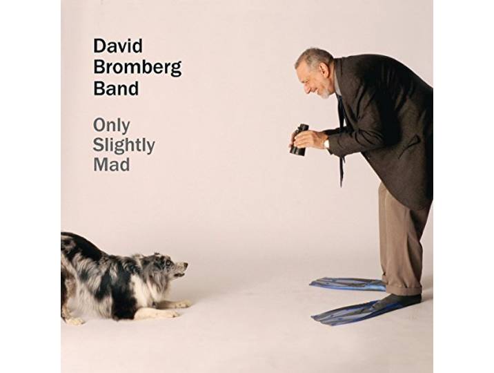 David Bromberg Band - Only Slightly Mad