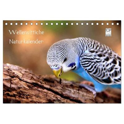 Wellensittiche - Naturkalender (Tischkalender 2027 DIN A5 quer), CALVENDO Monatskalender