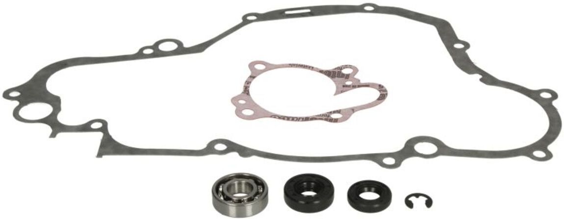 Kit de réparation, pompe à eau WINDEROSA W821666