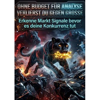 Ohne Budget für Analyse verlierst du gegen Große, Taschenbuch von Christoph Eberhardt, Epubli, 978-3-565-54213-0