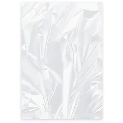 Universal-Flachbeutel (HDPE) gerollt transparent 17 x 25 cm 1L `S`