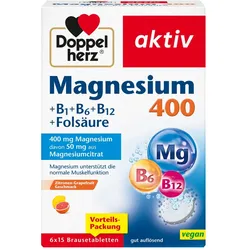 Doppelherz Magnesium 400+b1+b6+b12+folsä 6X15 St