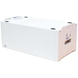 BYD 'HVS Battery Module 2,56kWh'(0% MwSt §12 III UstG)