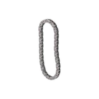 TOPRAN Kette, Ölpumpenantrieb 503127 für MINI