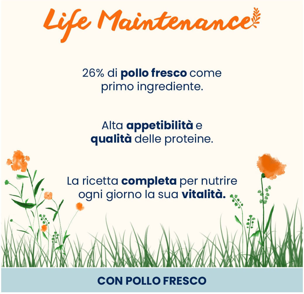 Almo Nature Holistic Maintenance Pollo Fresco 2KG