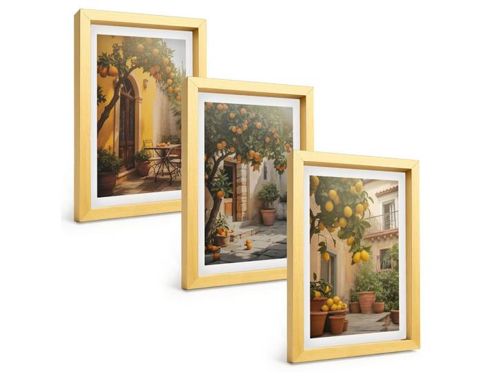 BILDER SET 3er Set - 20x30 cm Goldrahmen - Zitrustöpfe für sonnige Terrassen