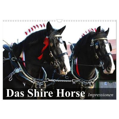 Das Shire Horse. Impressionen (Wandkalender 2027 DIN A3 quer), CALVENDO Monatskalender